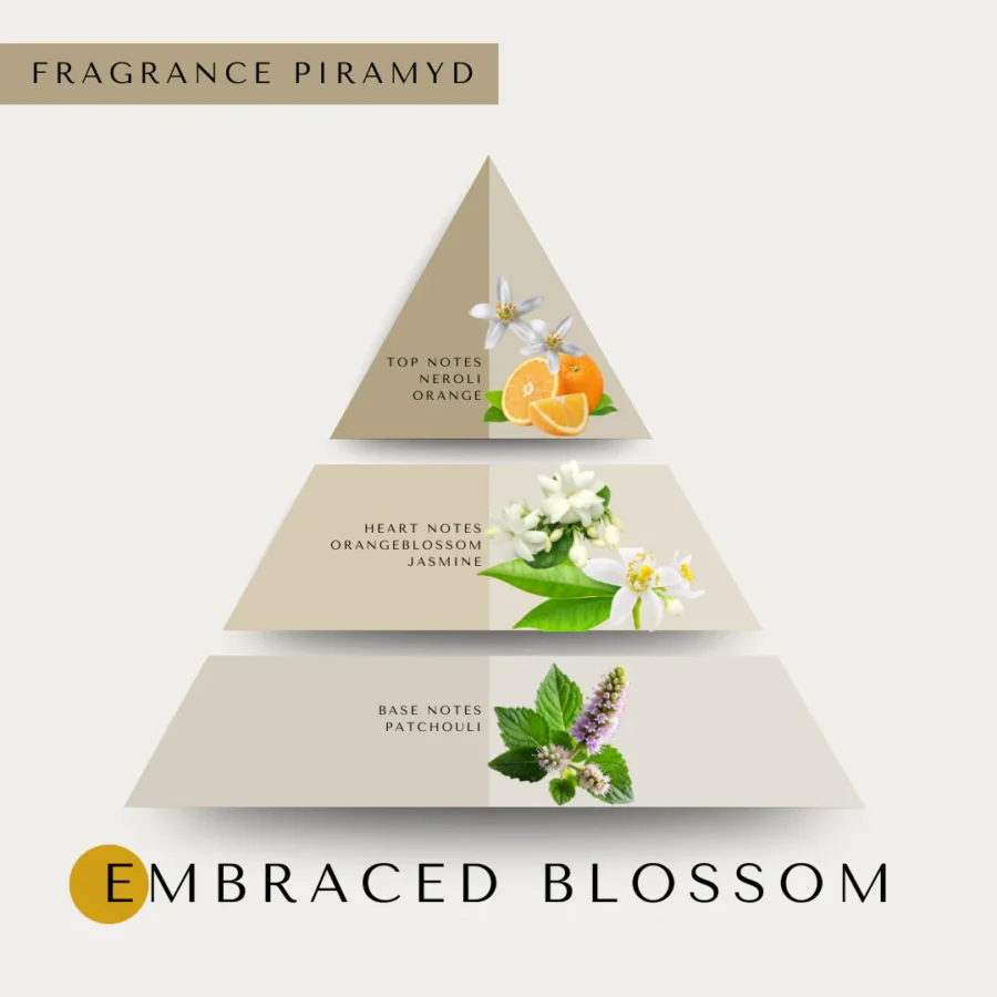 Embraced blossom scent piramyd 2